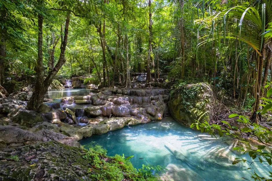 Pemandangan air terjun Oehala di antara hutan hijau